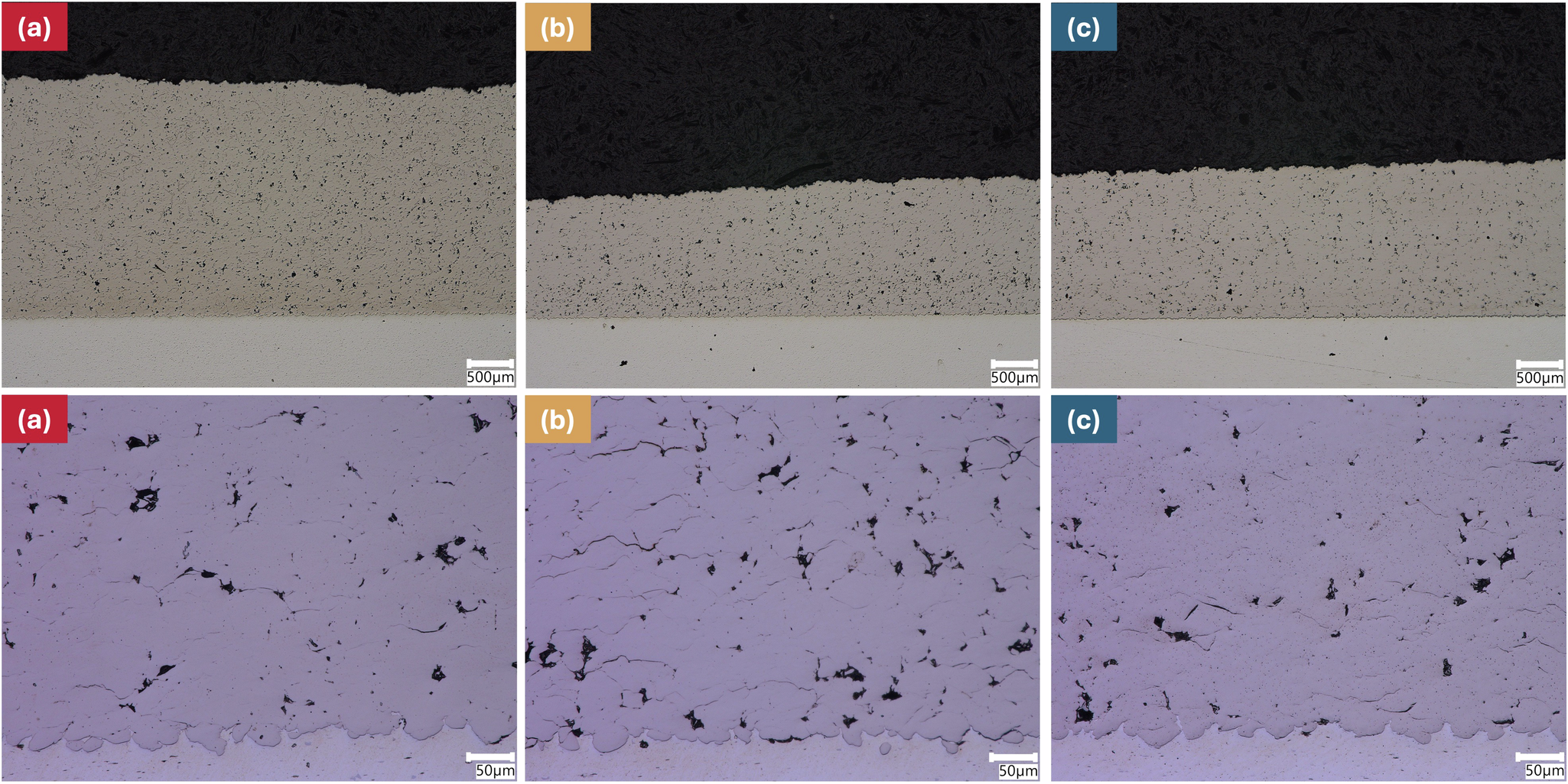 Fig. 3: Optical images of cross sectioned nickel coatings.
