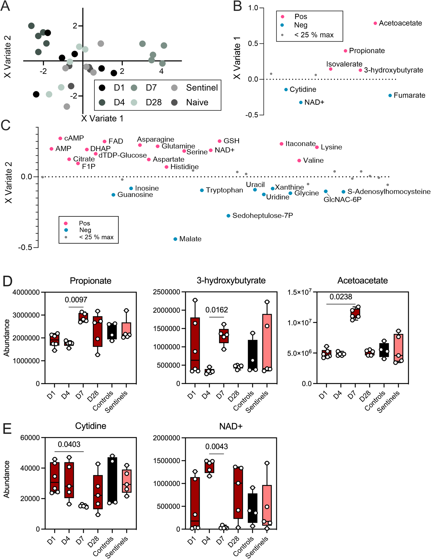 Fig. 4: Longitudinal intestinal metabolome changes after inoculation of Jamaican fruit bats with SARS-CoV-2 Delta variant.
