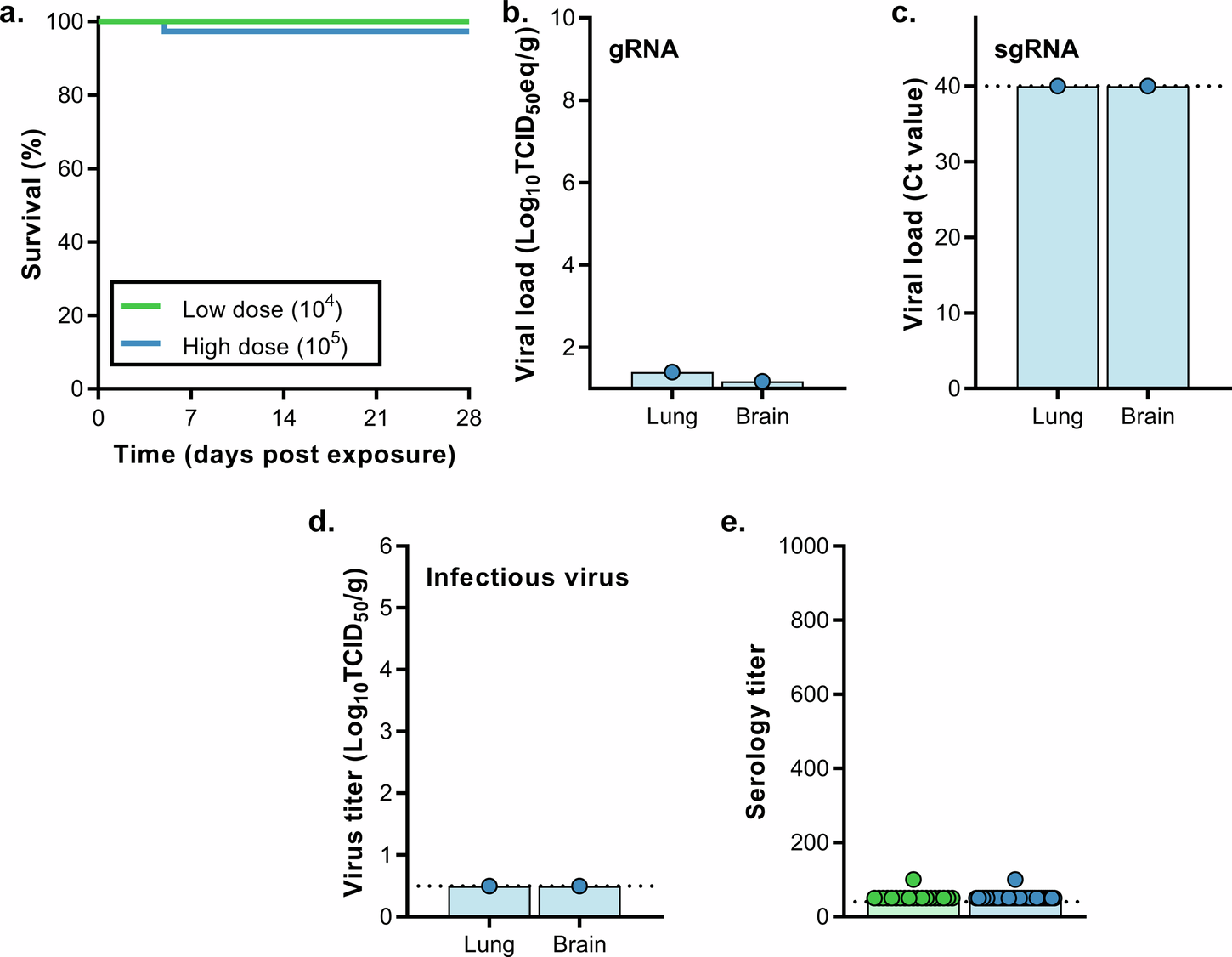 Fig. 5: Transmission of MERS-CoV via direct contact.