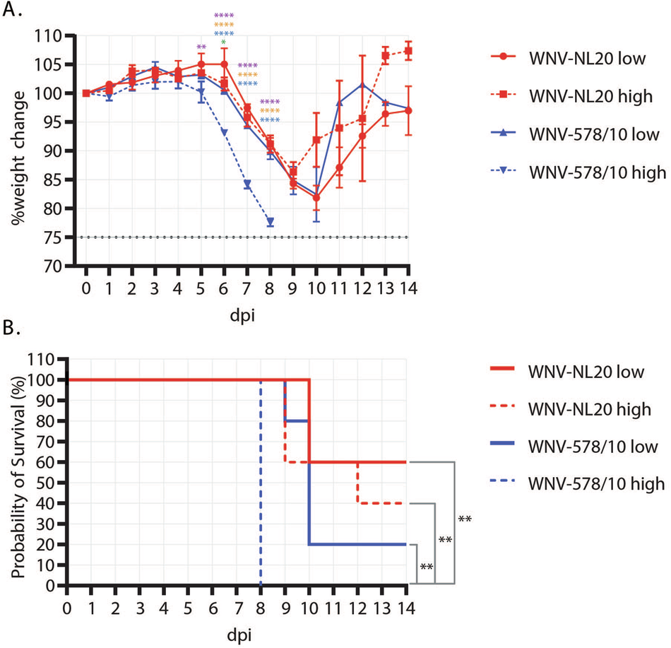 Fig. 2: Weight loss and survival curves of C57BL/6 WT mice inoculated with different doses of WNV-578/10 (blue lines) and WNV-NL20 (red lines) via the intradermal route.