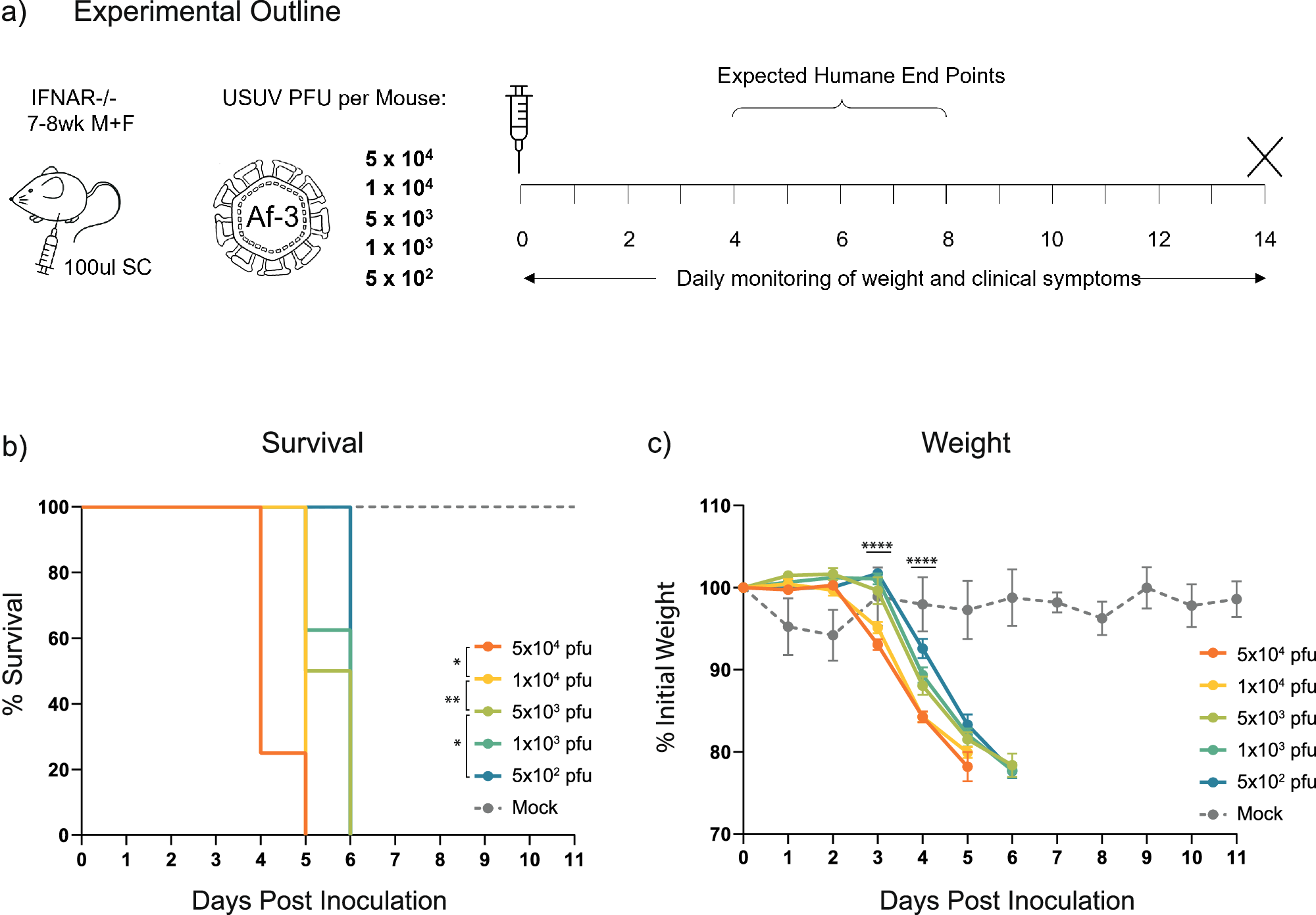 Fig. 1: USUV Af-3-NL infected mice show rapid disease progression and lethality at doses as low as 500 pfu.
