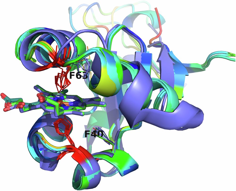 Fig. 8: Overlaid viral cytochrome b5 structures showing the positioning of the conserved histidine residues (red) binding the heme.