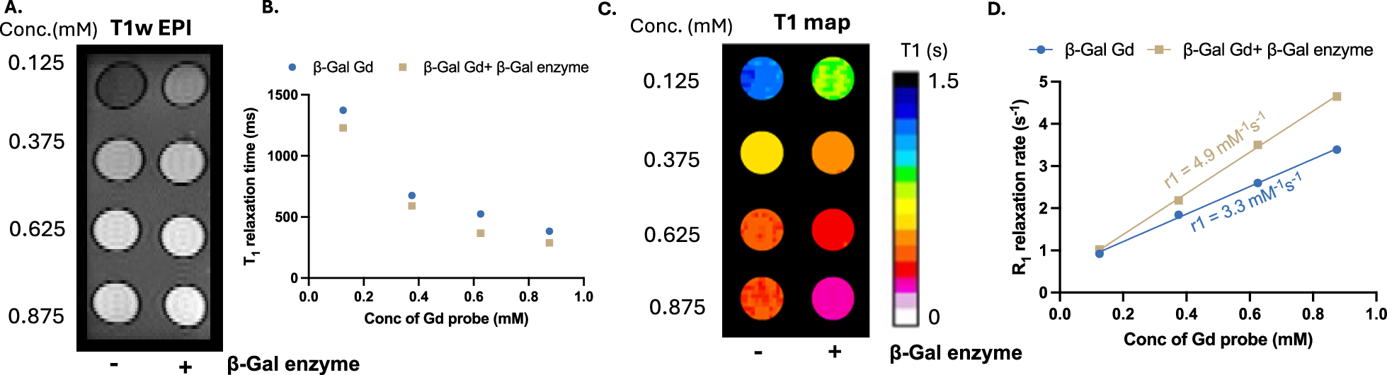Fig. 1: Determining the optimal concentration of the β-gal responsive Gd-chelate for MRI detection of β-gal Gd-chelate ‘activation’.