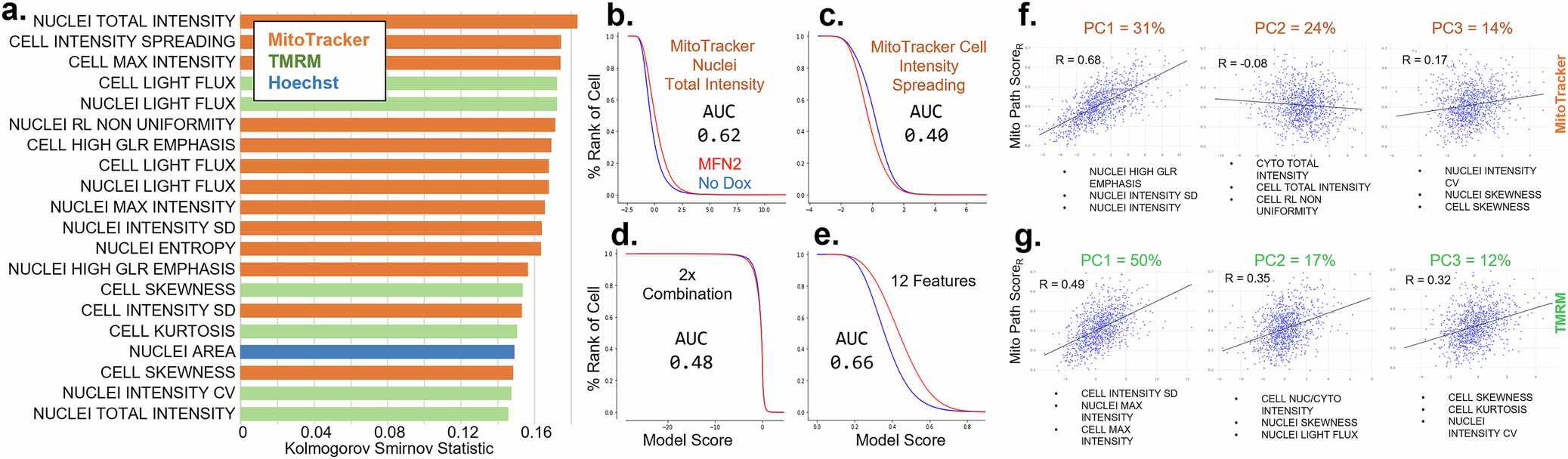 Fig. 4: Mitochondrial phenotype composition of individual features and principal components.