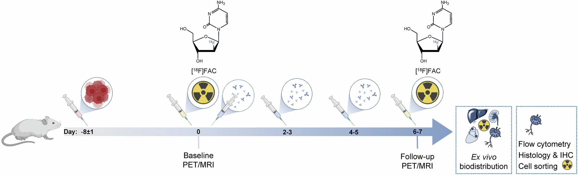 Fig. 1: Preclinical experimental set-up.