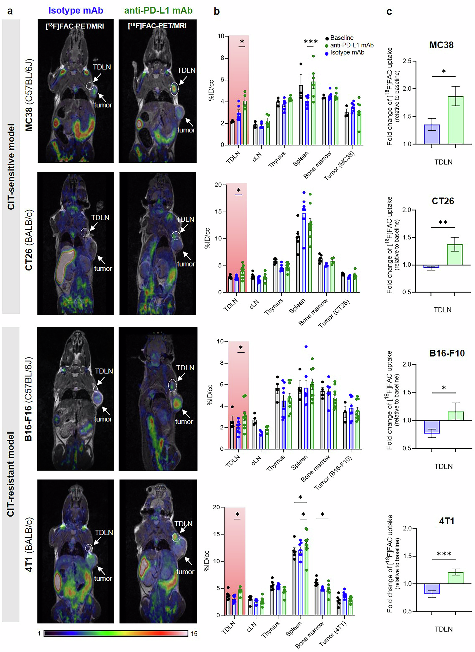 Fig. 2: Preclinical in vivo imaging of [18F]FAC.