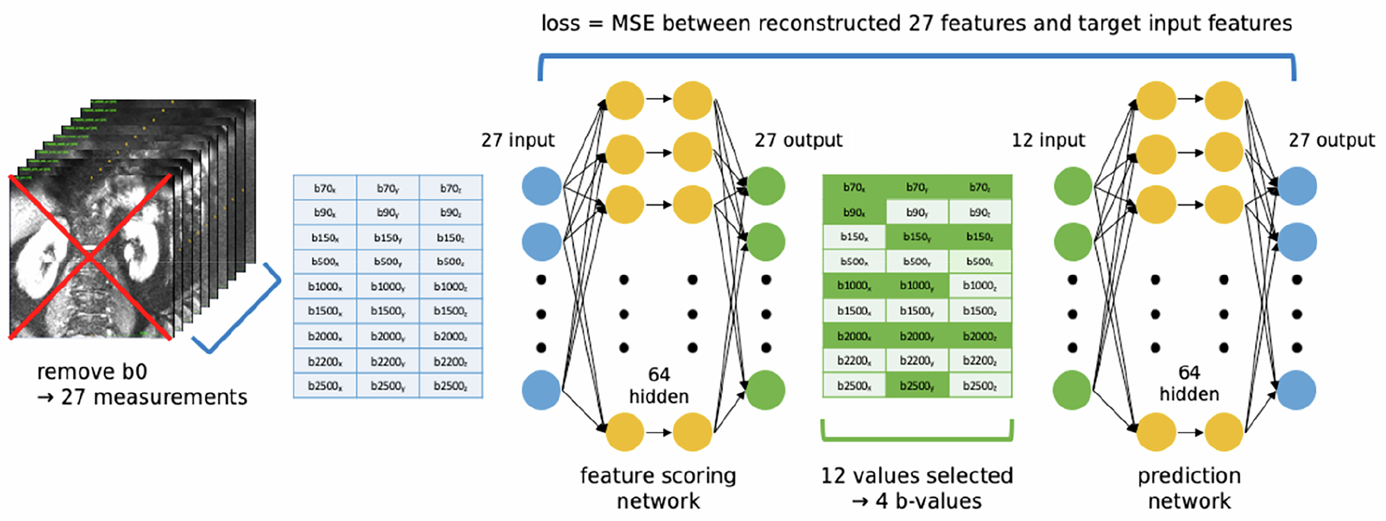 Fig. 6: Schematic outlining the protocol optimisation dual-network strategy.
