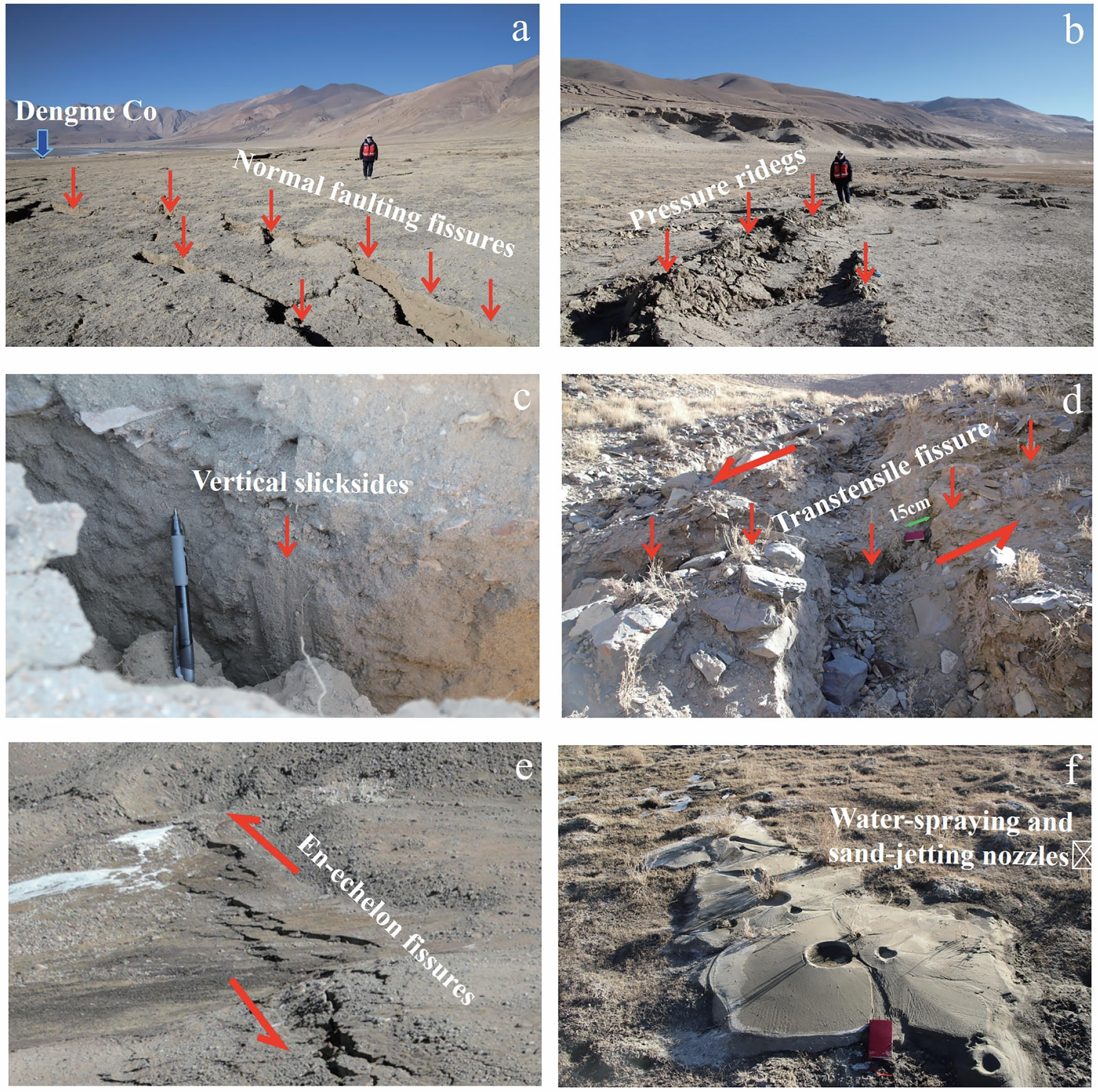 Fig. 3: Photos showing typical surface ruptures of the Dingri earthquake.