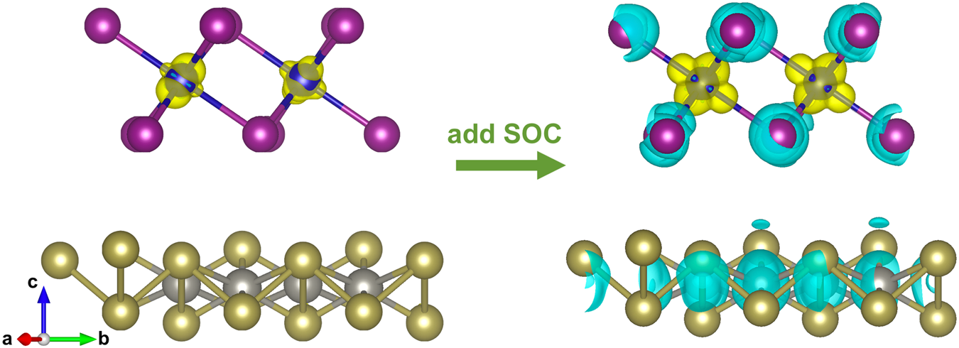 Fig. 4: Bilayer spin polarization is enhanced by spin-orbit coupling.