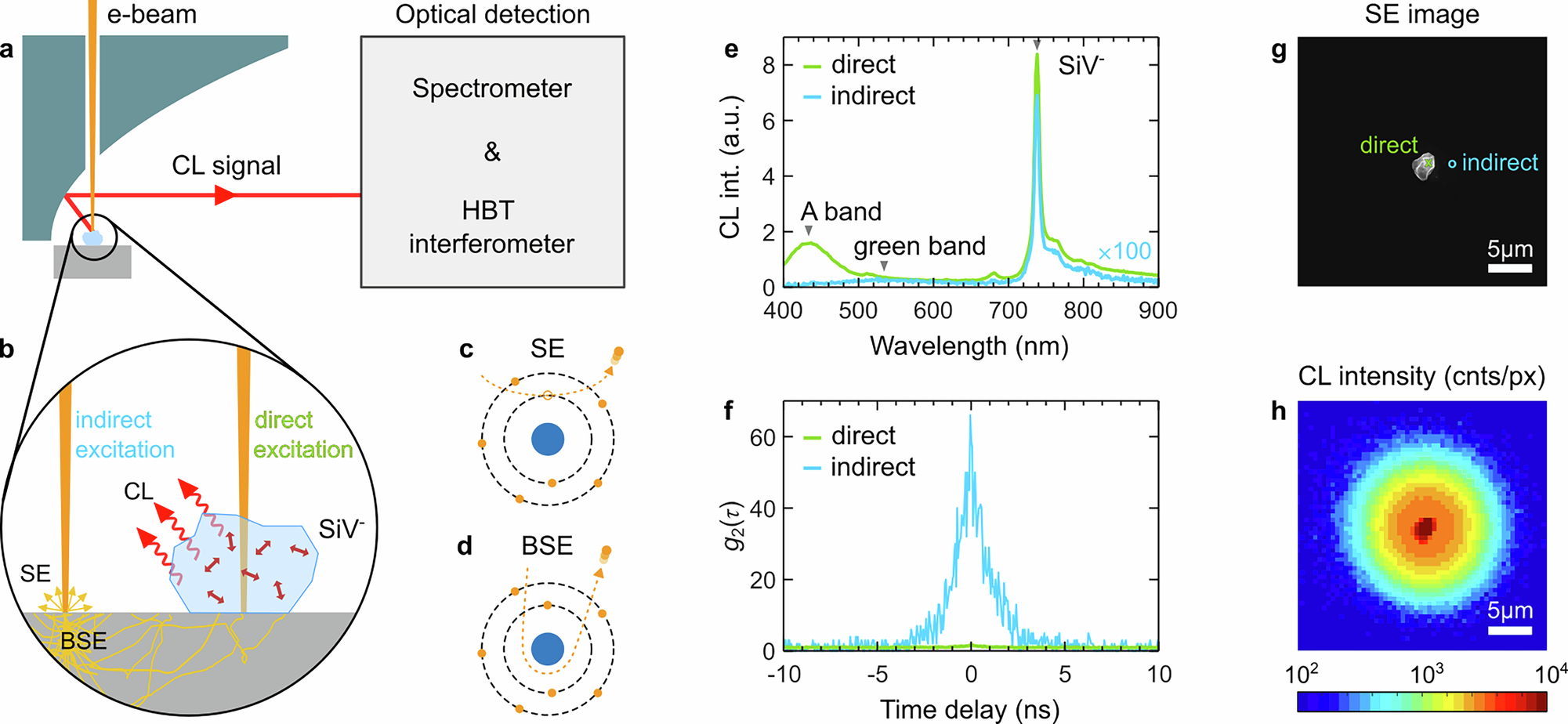Fig. 1: Experimental setup and electron-beam excitation pathways.