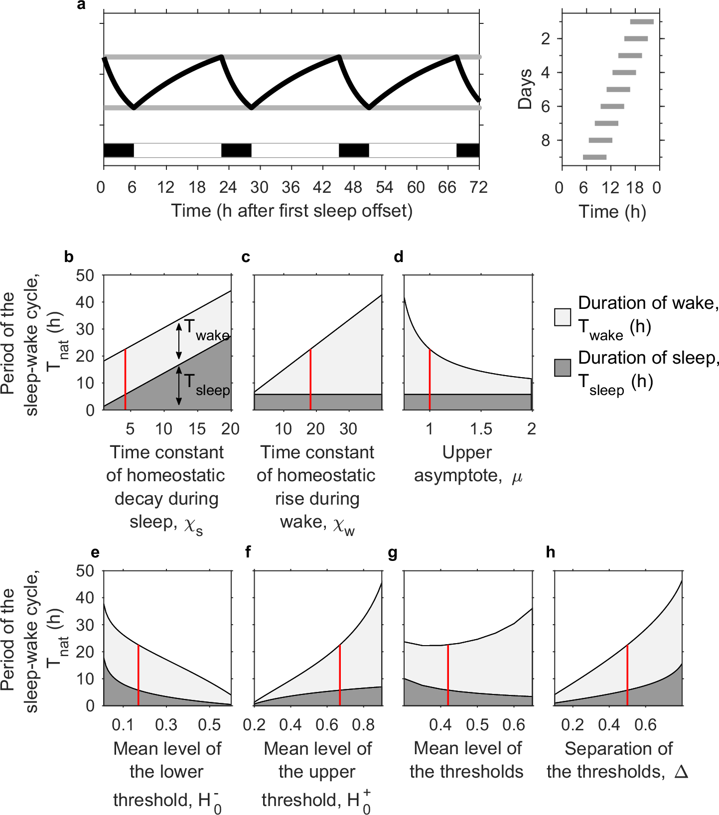Fig. 6: Natural period of the sleep-wake oscillator.