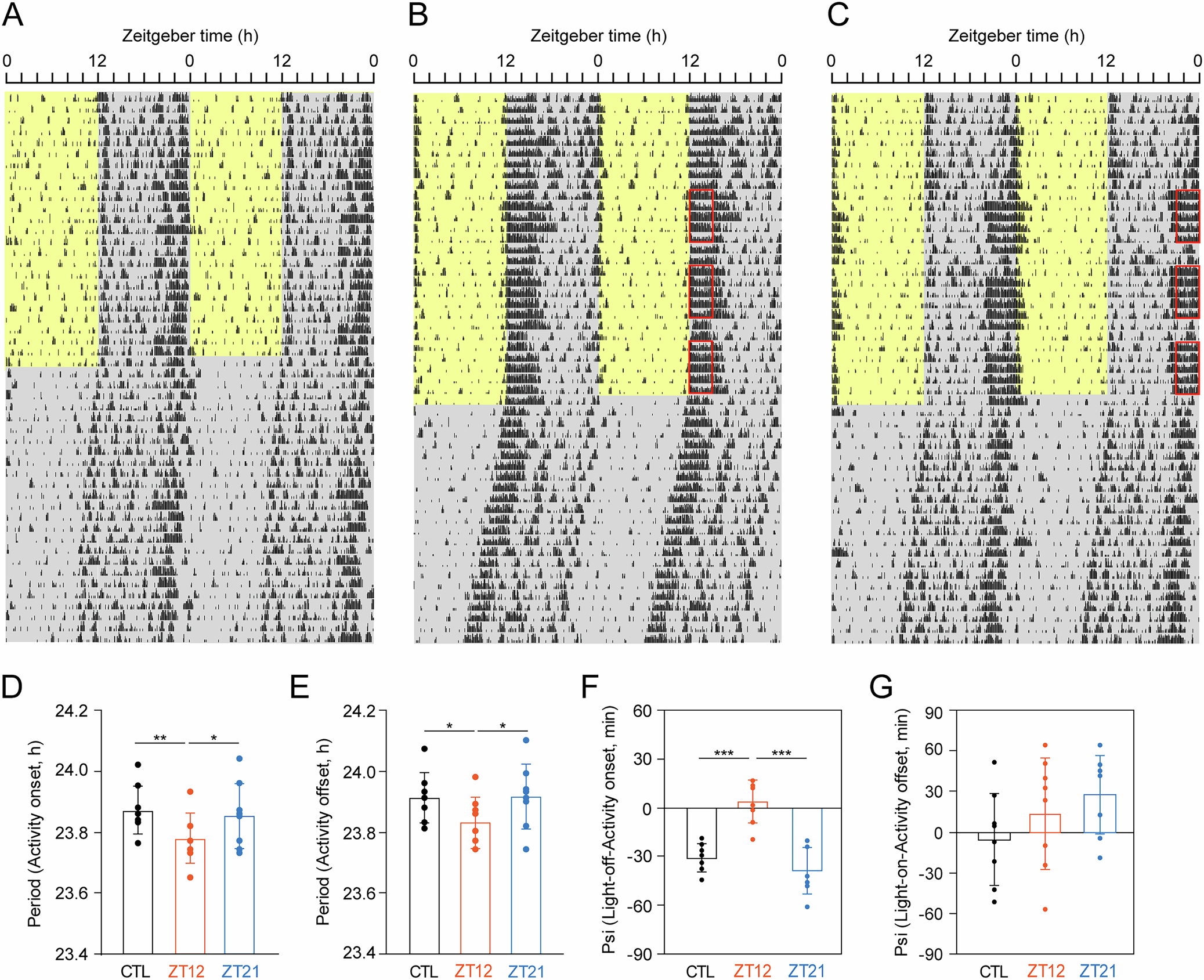 運動の時間帯が生物時計のペースを変えることを発見～マウスで明らかになったEM振動体間の相互協調が運動時刻で変化する仕組み～