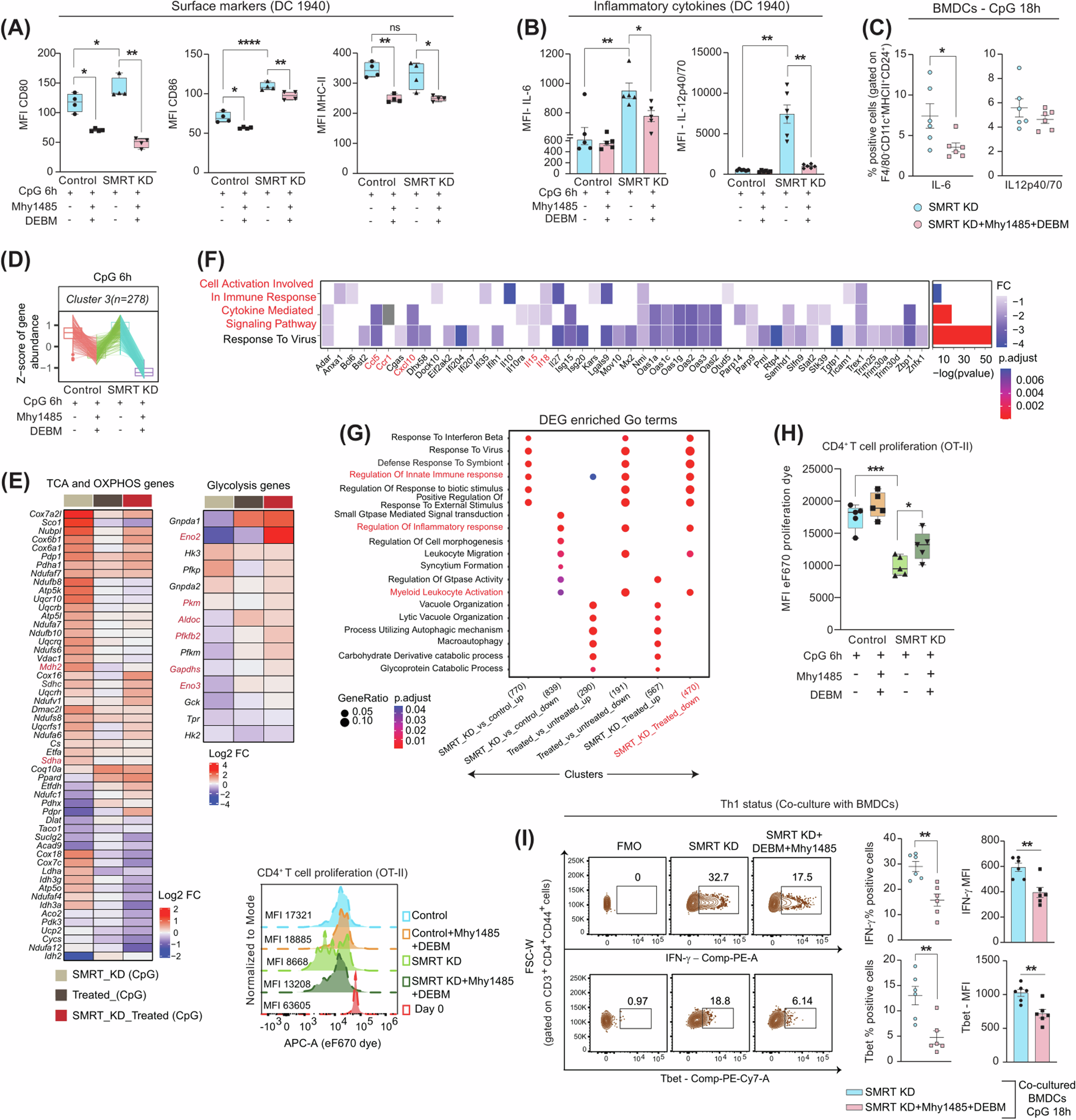 Fig. 5: Combined Mhy1485 & DEBM treatment skews the global transcriptomic landscape and functionality of SMRT ablated DCs.