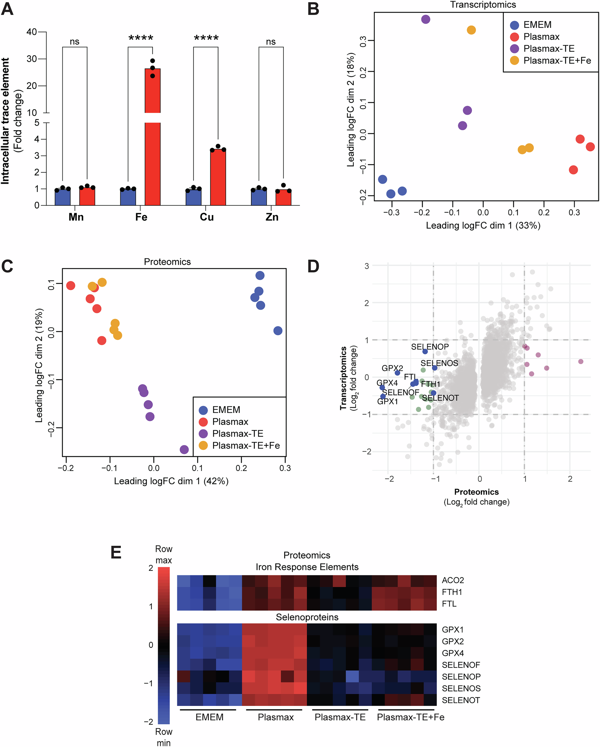 Fig. 3: Multi-omic analysis reveals a relationship between trace element availability and metalloprotein expression.