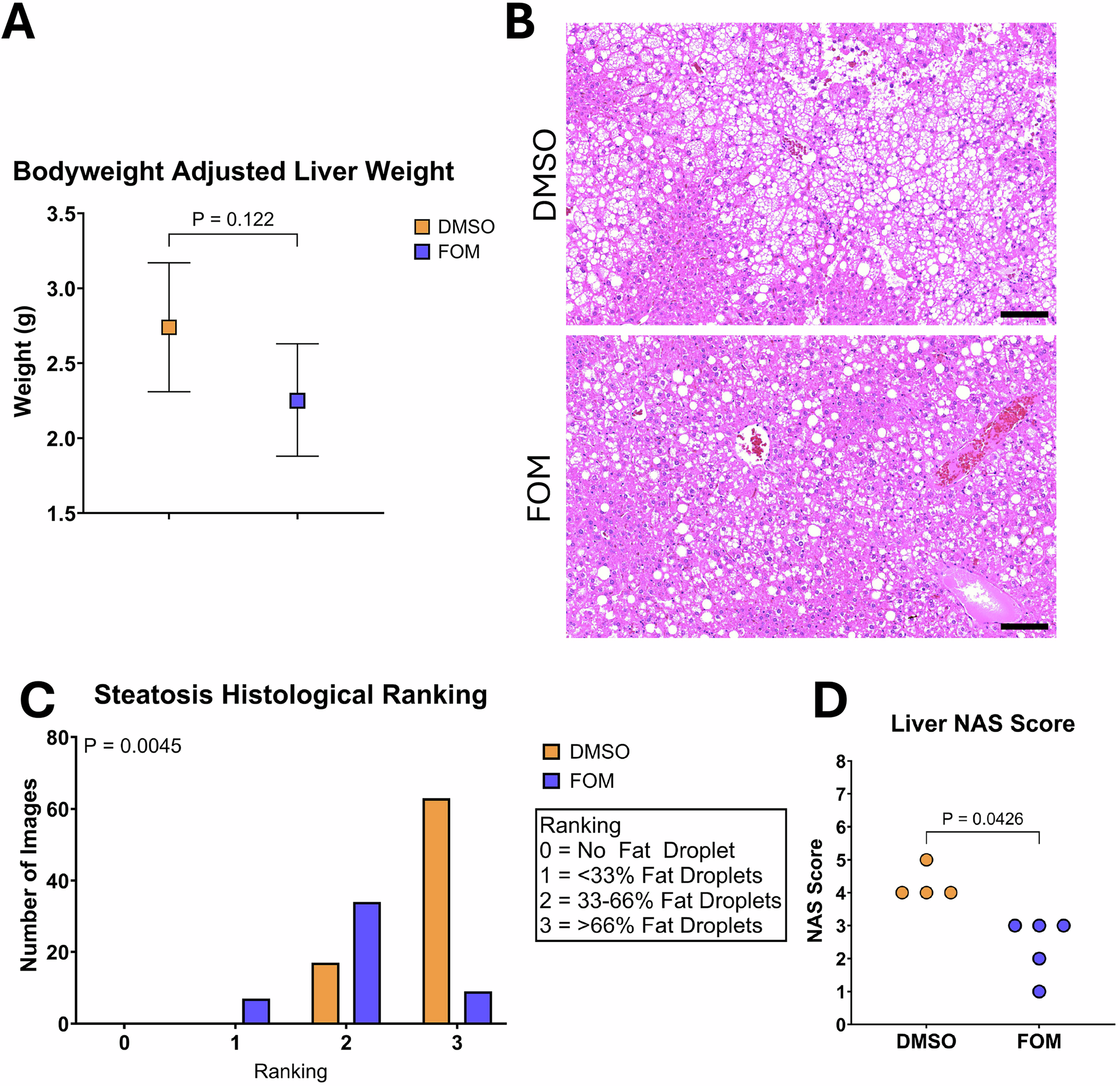 low dose tirzepatide for inflammation Does Tirzepatide Help With Inflammation? What Research Shows low dose tirzepatide for inflammation Does Tirzepatide Help With Inflammation? What Research Shows