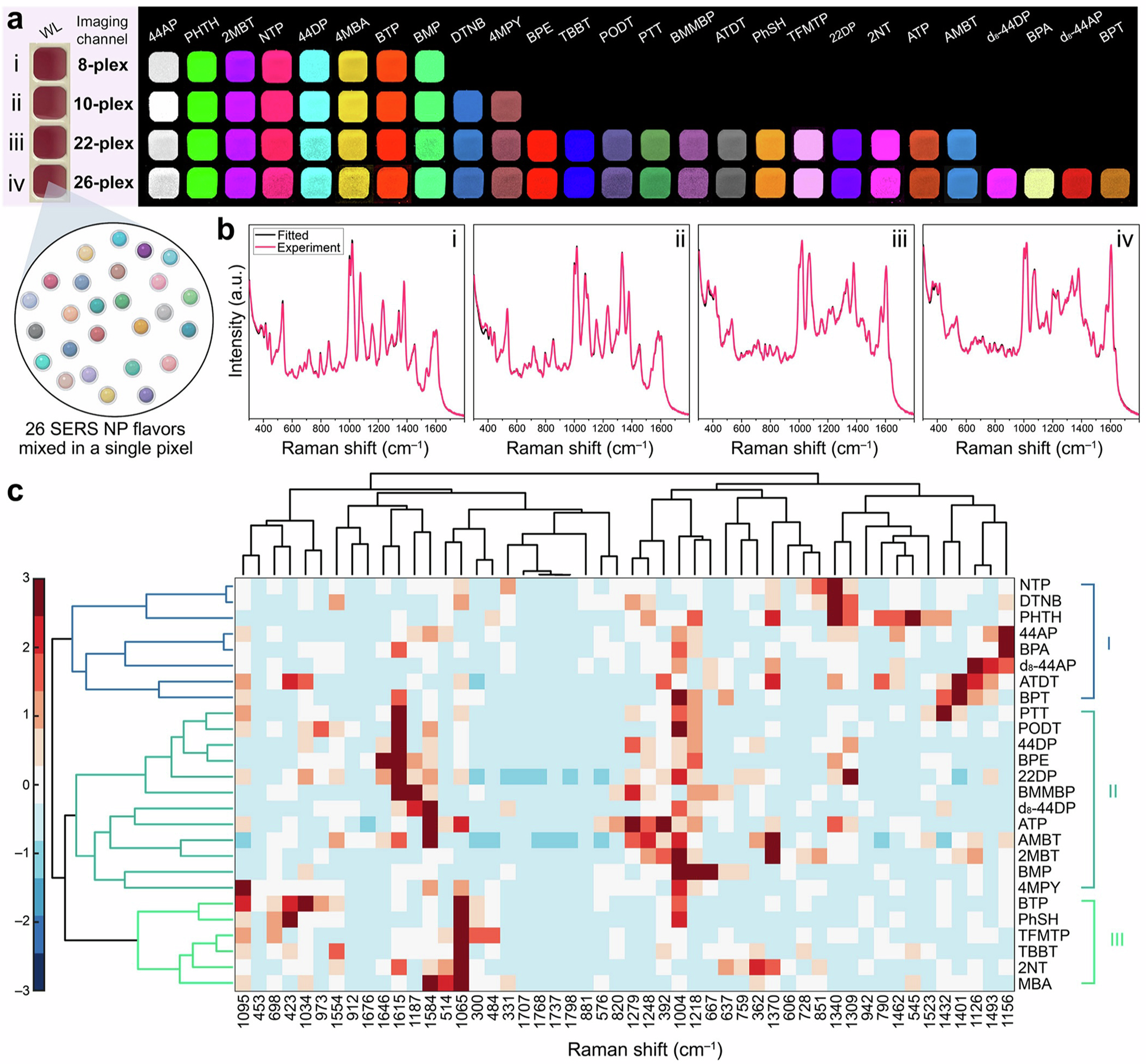 Fig. 3: Application of hierarchical clustering to classify the spectra of 26 separate Raman labels (26-plex) of SERS-tags, based on unique spectral features and differences.