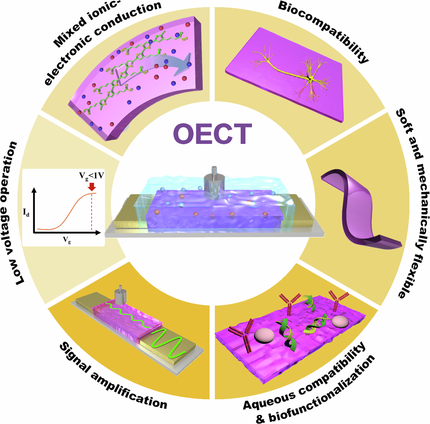 Organic mixed ionic-electronic conductor device platforms for emerging biosensor application