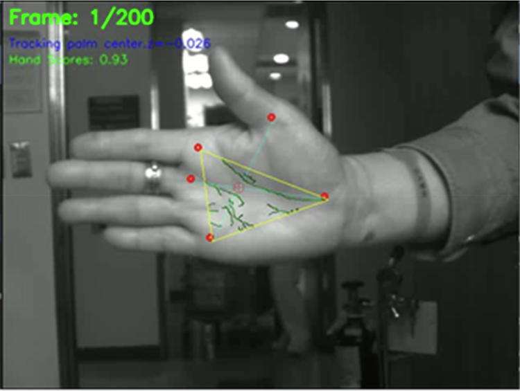 Fig. 8: Palm-center and crease tracking for three skin types to construct raw HSI Z-profiles (interferograms).
