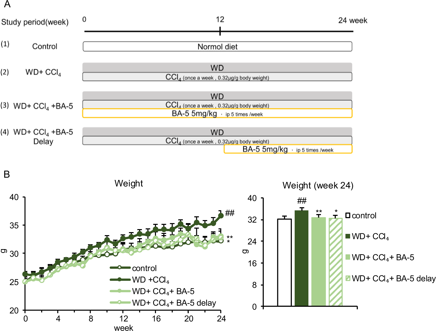 Fig. 1: Study design and the body weight of mice.