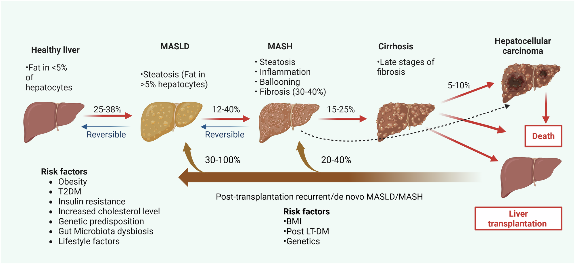 tirzepatide lipolysis Tirzepatide: a novel therapeutic approach for Alzheimer's disease |  Metabolic Brain Disease