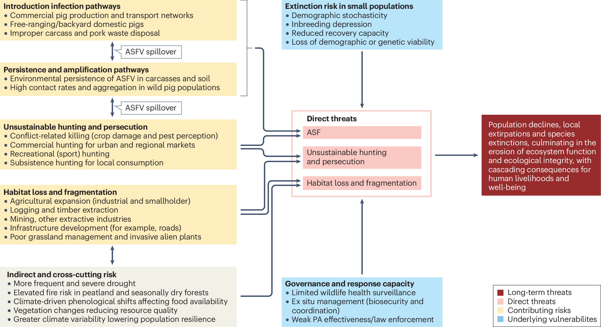 Pathways to recover Asian wild pigs from African swine fever