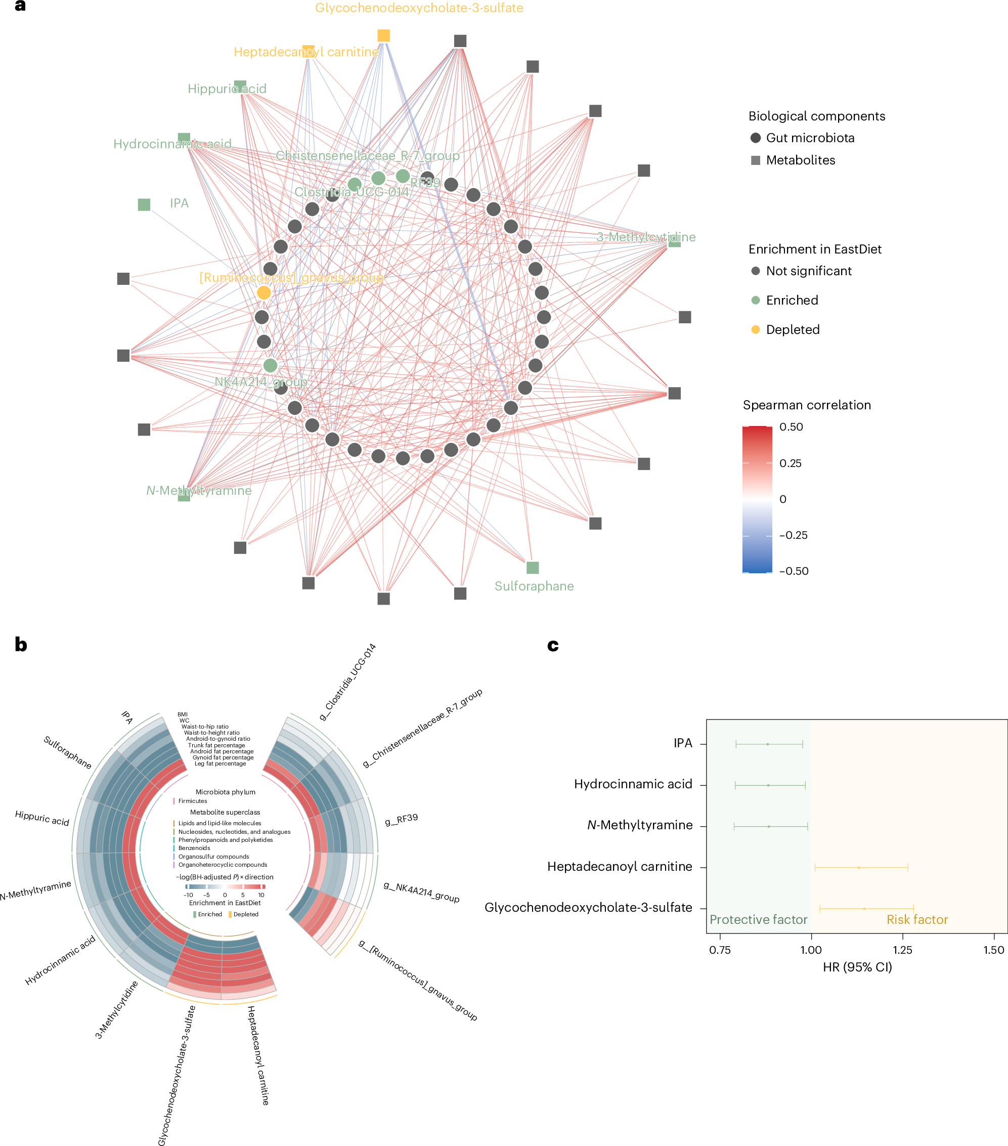 Fig. 5: Gut microbiota–metabolite interaction network and their associations with obesity and MACE in relation to the EastDiet.