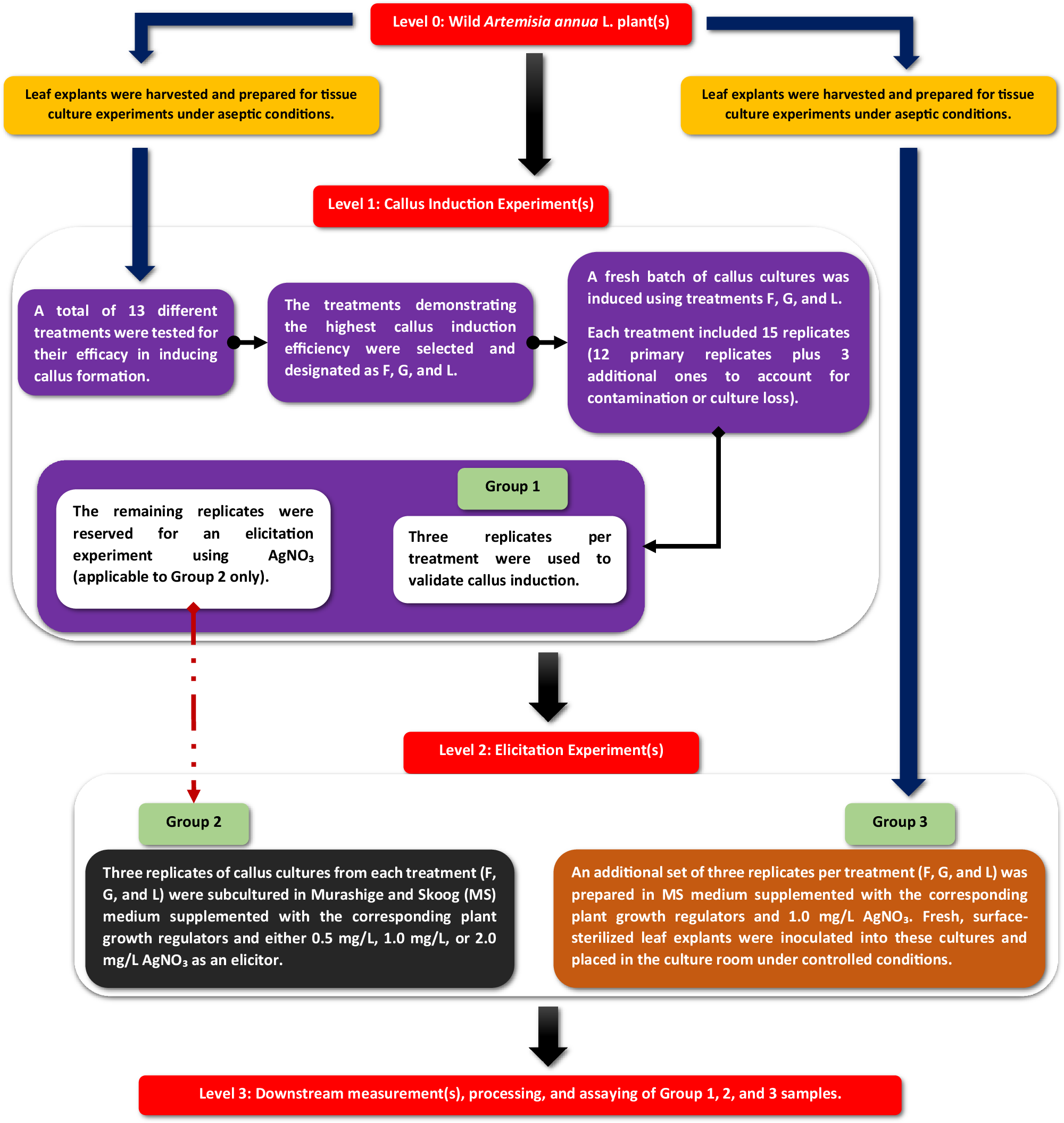 Fig. 11: Workflow of all tissue culture experiments (Supplementary Table 3).