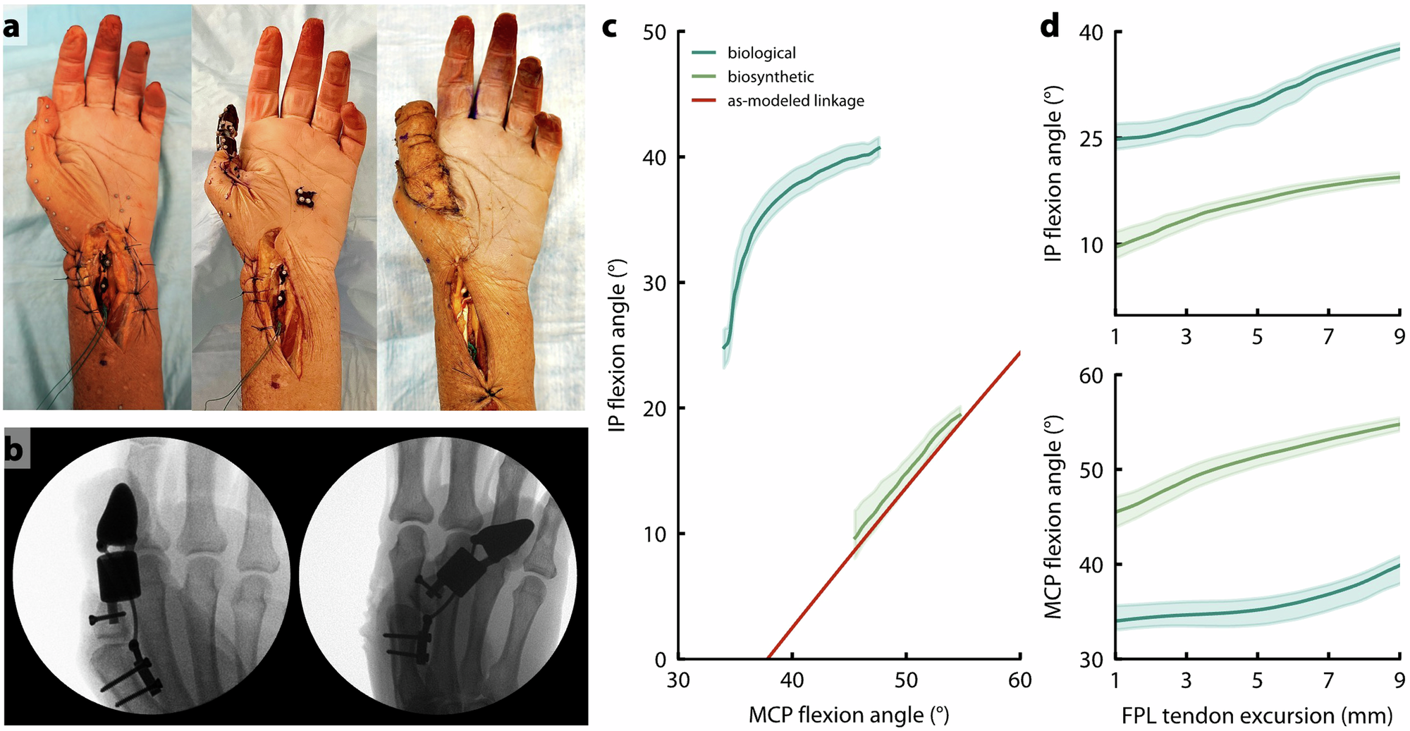 Fig. 4: Cadaver testing results.