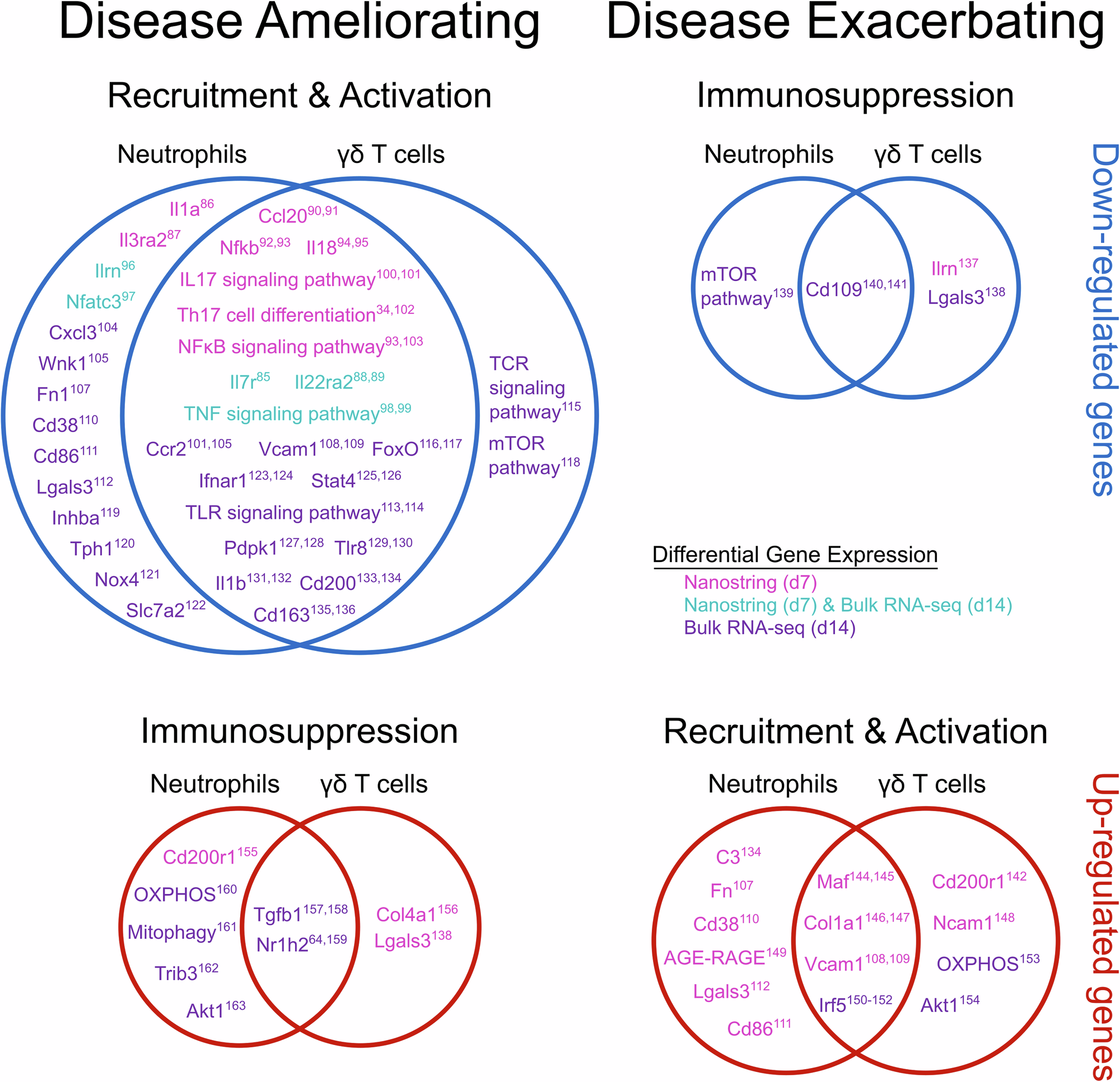 Fig. 6: Trends in genes related to immune cell recruitment and activation or immunosuppression show high engagement with both neutrophils and γδ T cells.