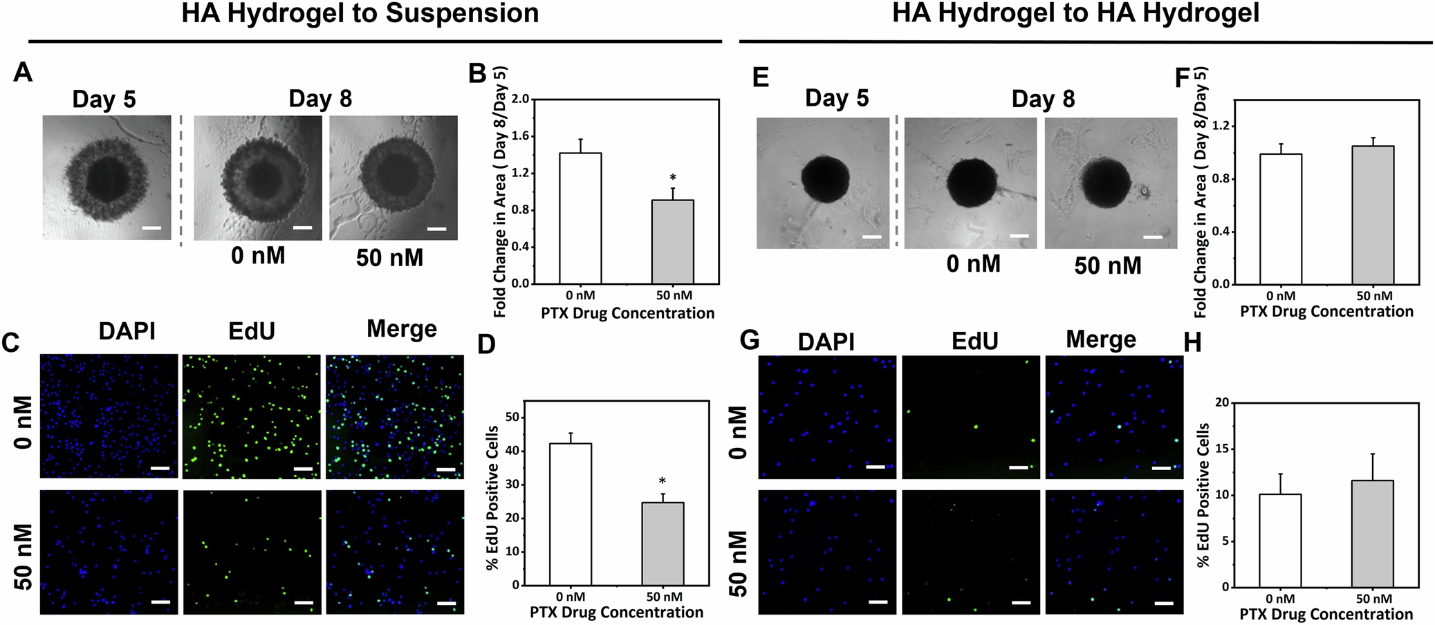 Fig. 6: Modulating the culture environment reverses PTX therapy response in MDA-MB-231Br spheroids.