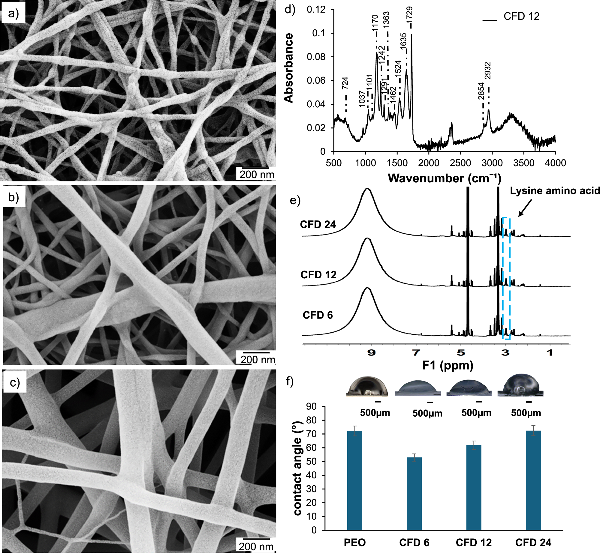 Fig. 2: Nanofibers on top of the PEO coating characterization.