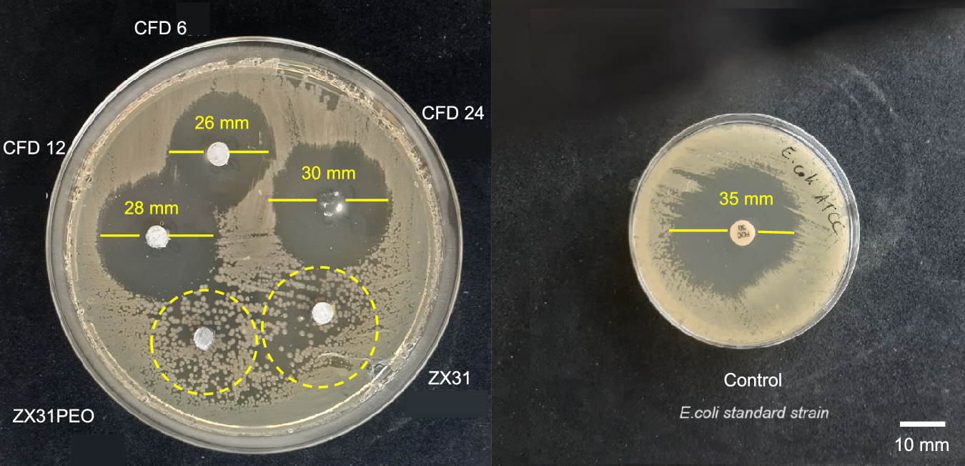 Fig. 3: Disk diffusion test of the samples with and without nanofibres.