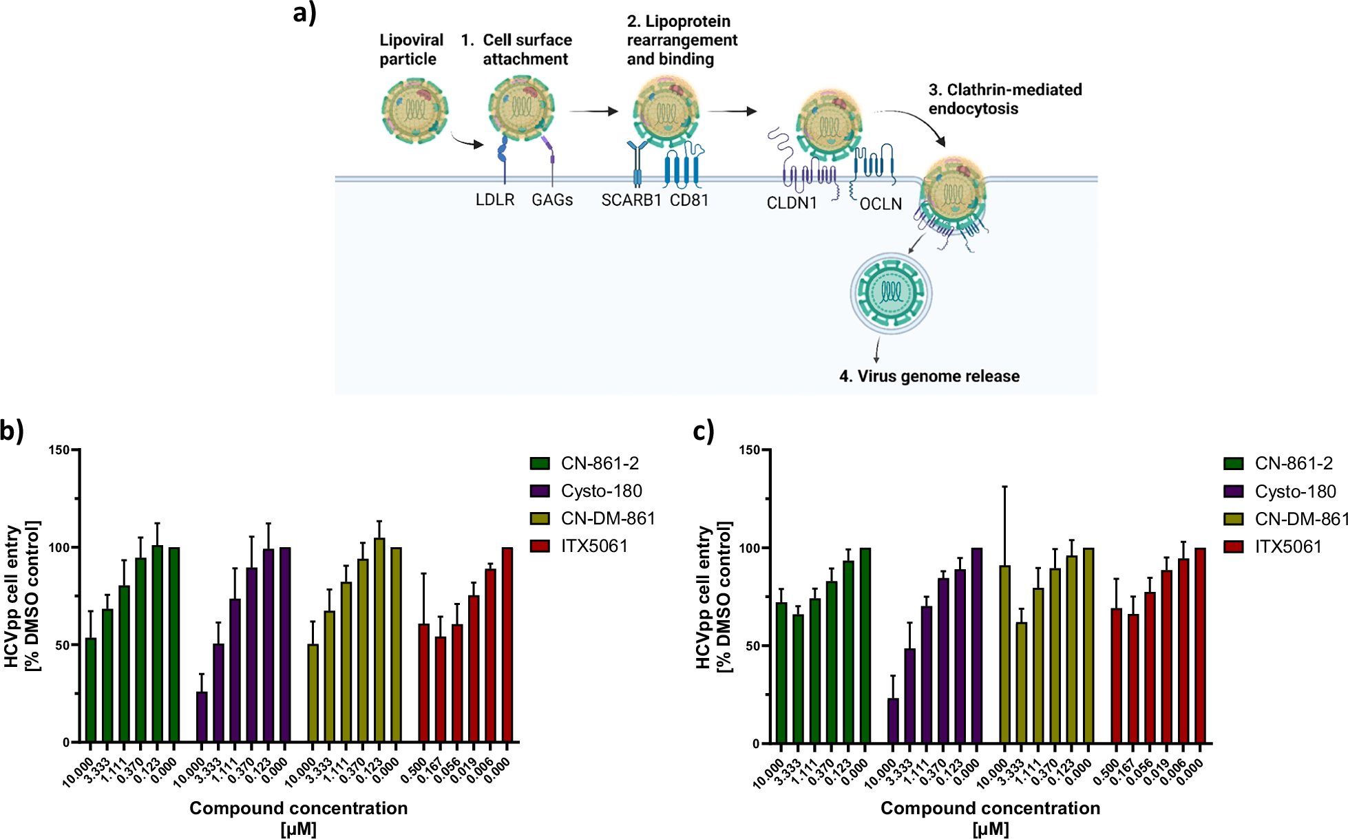 Fig. 6: Binding of CYS to SCARB1 leads to functional inhibition of HCVpp entry into hepatocytes.