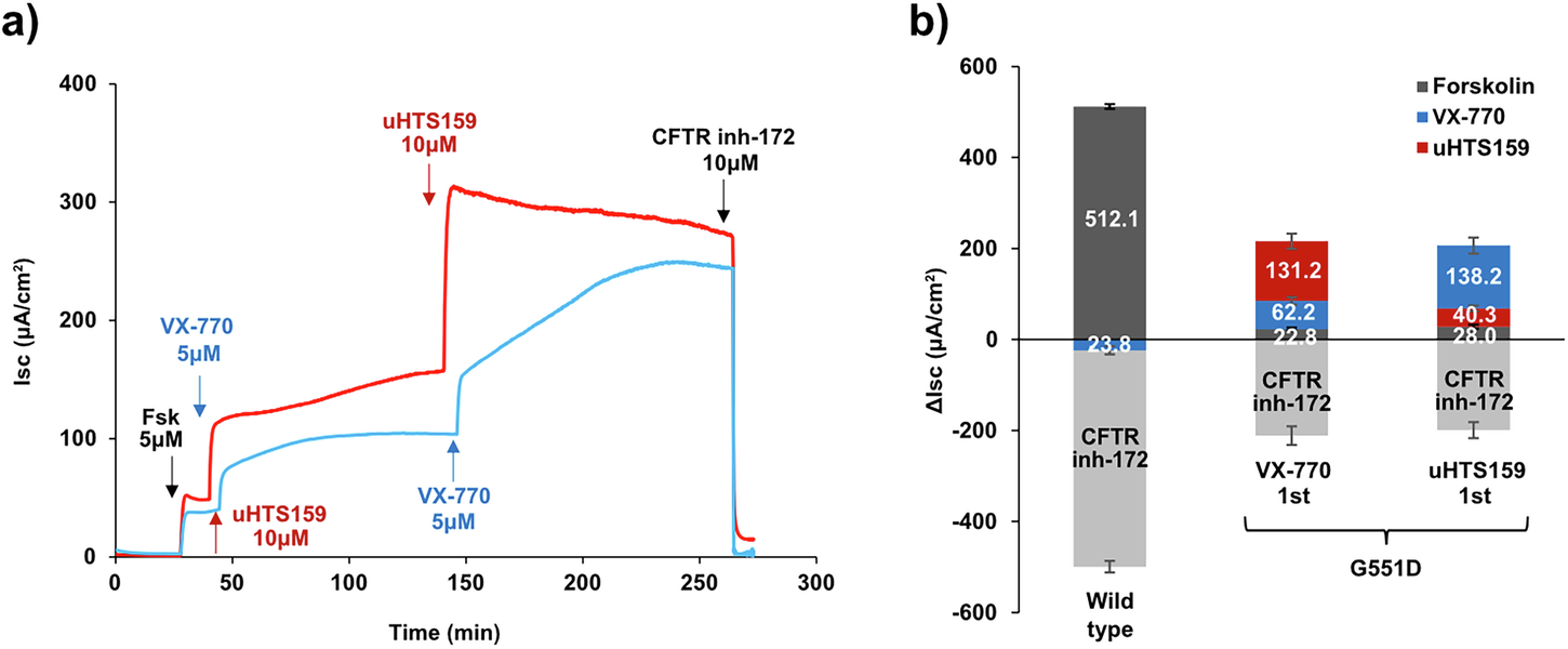 Fig. 3: G551D rescue by uHTS159 in FRT cells.