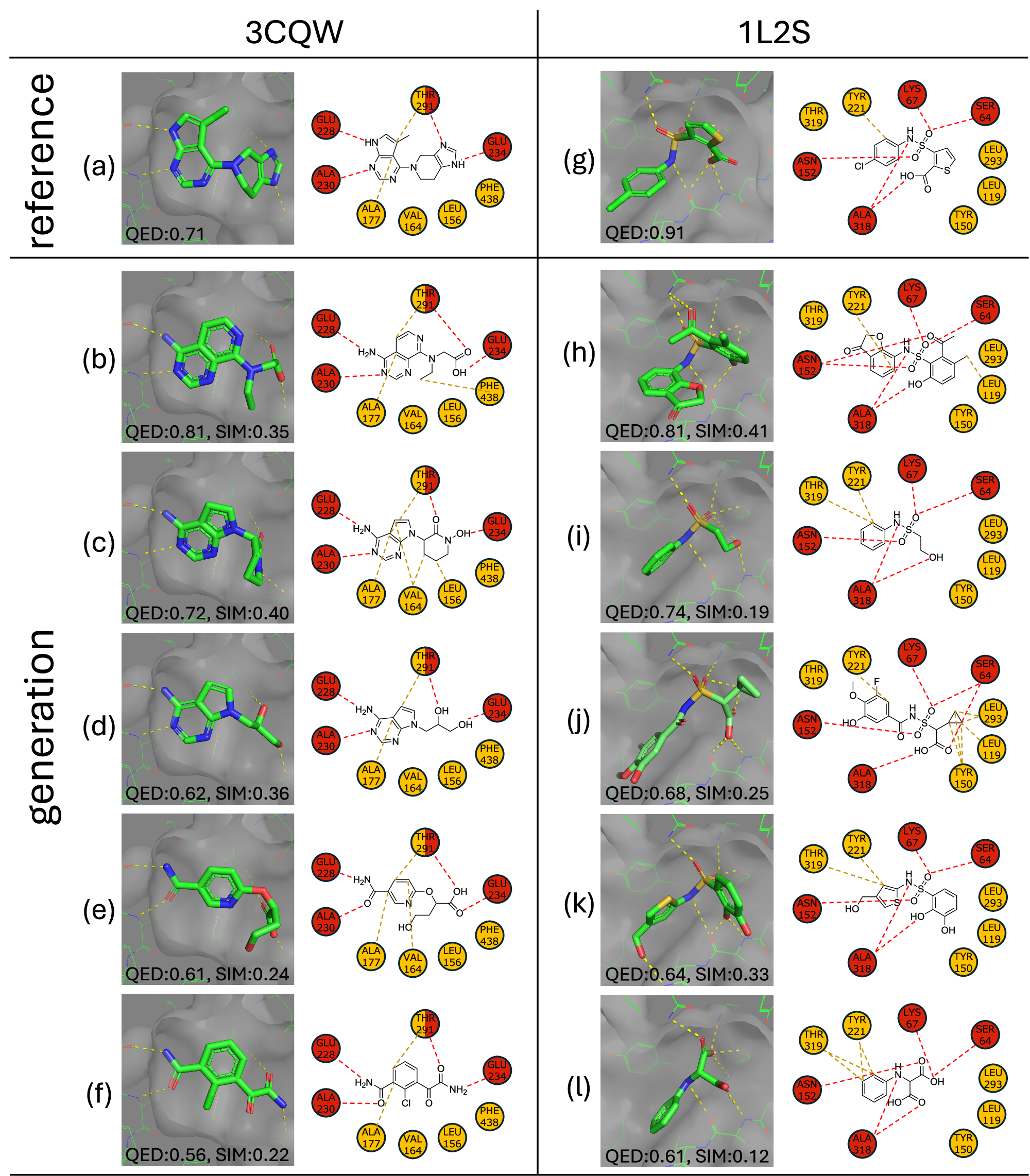 Fig. 3: The 3D poses and interaction patterns of ligand molecules with the target proteins (PDB IDs: 3CQW and 1L2S).