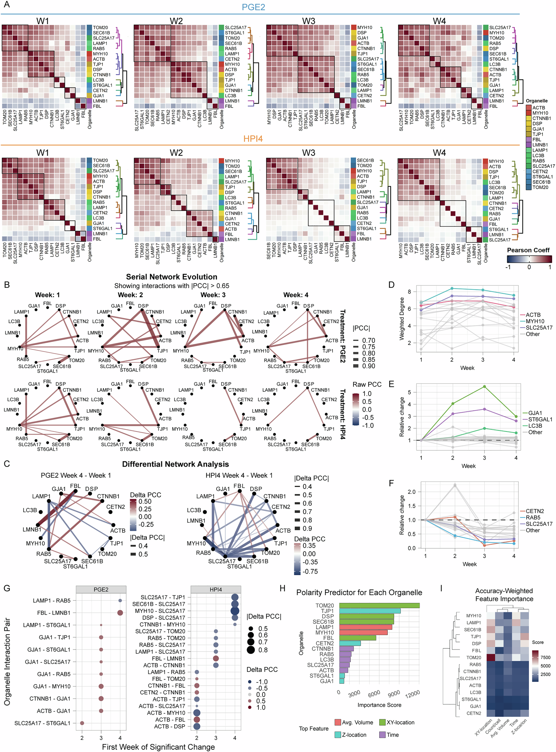 Fig. 8: Spatial interaction maps of integrated cellular structures.