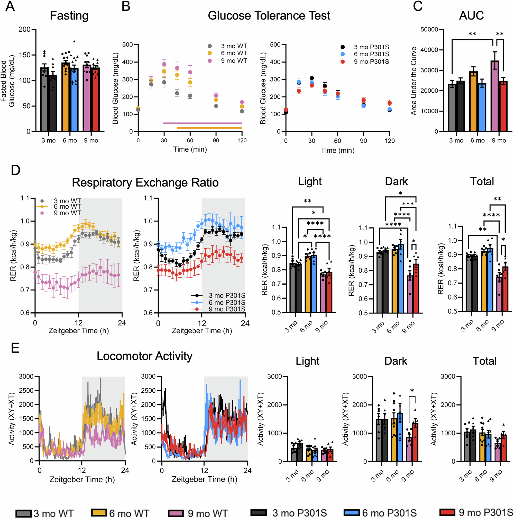 Fig. 2: Tau pathology prevents age-related decline in peripheral metabolism and locomotion.