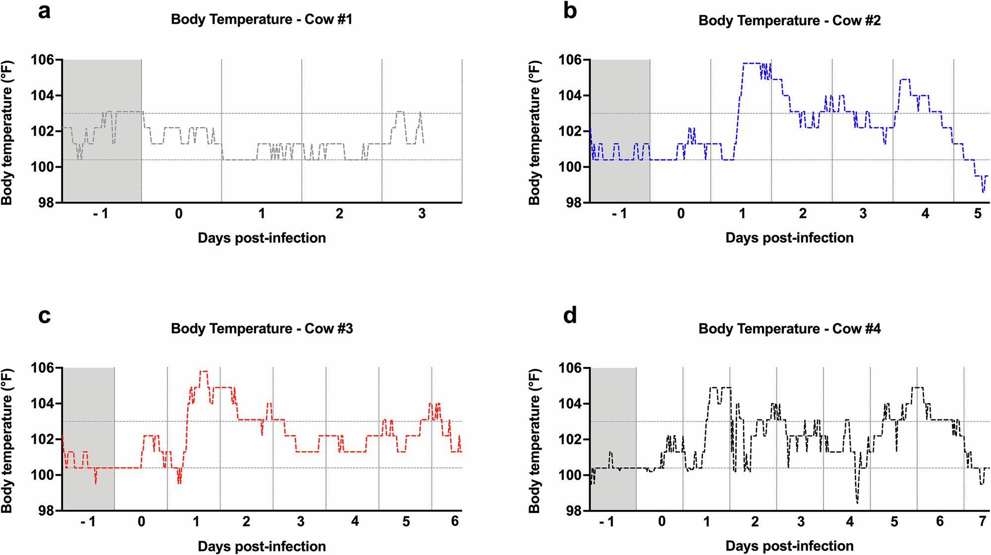 Fig. 2: Cows experienced high peaks of fever after H5N1 infection.