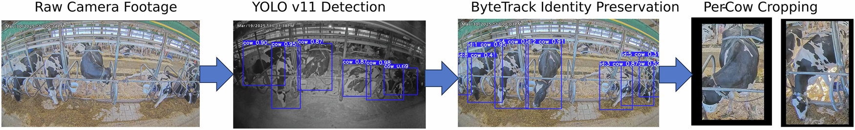 Fig. 2: Video preprocessing and dataset construction workflow.