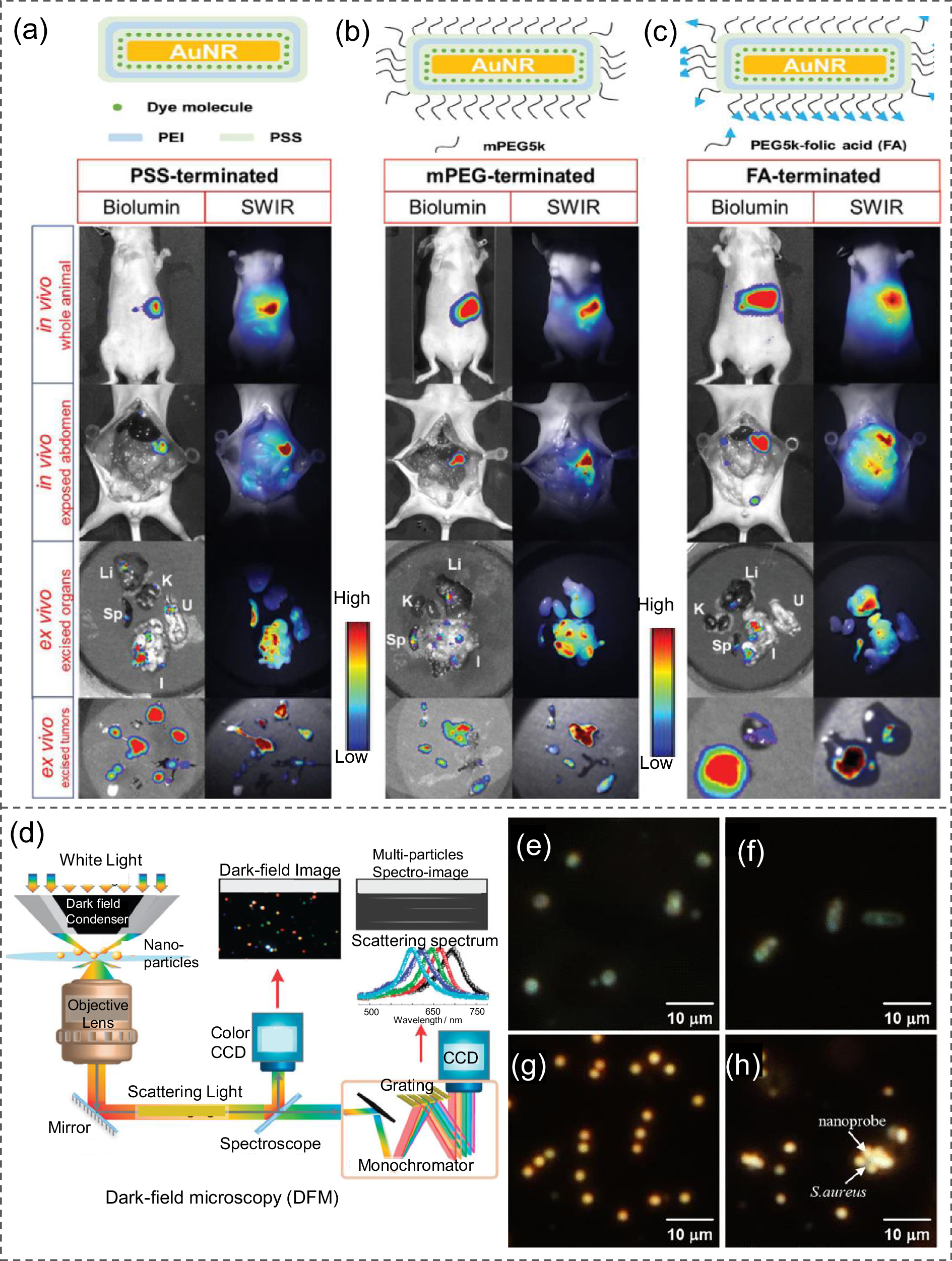 Fig. 16: Plasmon-enhanced in vitro and in vivo optical bioimaging.