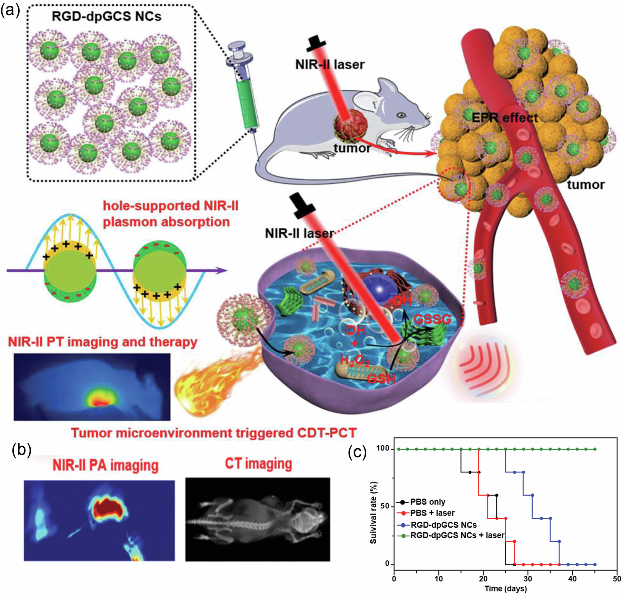 Fig. 17: Imaging-guided plasmonic photothermal therapy.