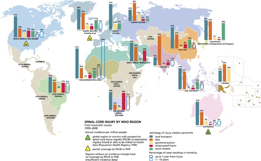 A global map for traumatic spinal cord injury epidemiology