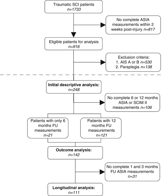 Diagnostic criteria of traumatic central cord syndrome. Part 3: Descriptive  analyses of neurological and functional outcomes in a prospective cohort of  traumatic motor incomplete tetraplegics | Spinal Cord