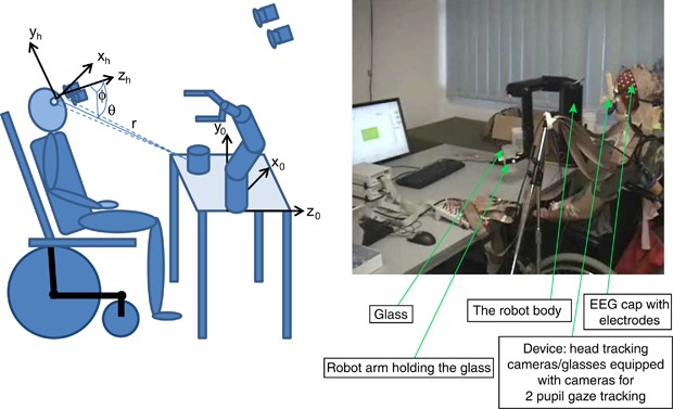 On the feasibility of using motor imagery EEG-based brain–computer  interface in chronic tetraplegics for assistive robotic arm control: a  clinical test and long-term post-trial follow-up | Spinal Cord