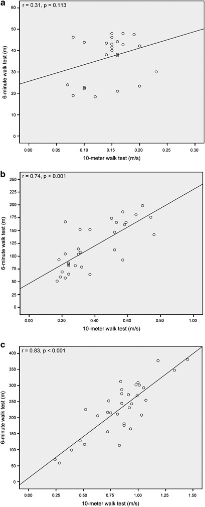 Concurrent validity of the 10-meter walk test as compared with the 6-minute walk  test in patients with spinal cord injury at various levels of ability |  Spinal Cord