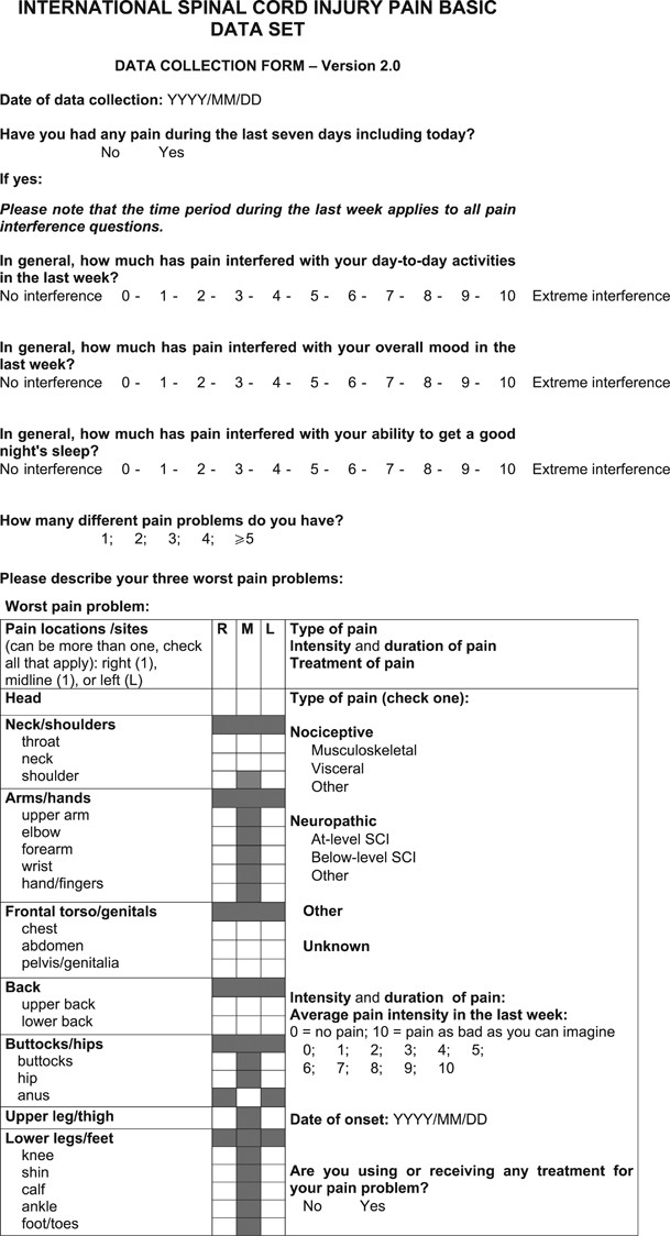 The International Spinal Cord Injury Pain Basic Data Set (version 2.0) |  Spinal Cord