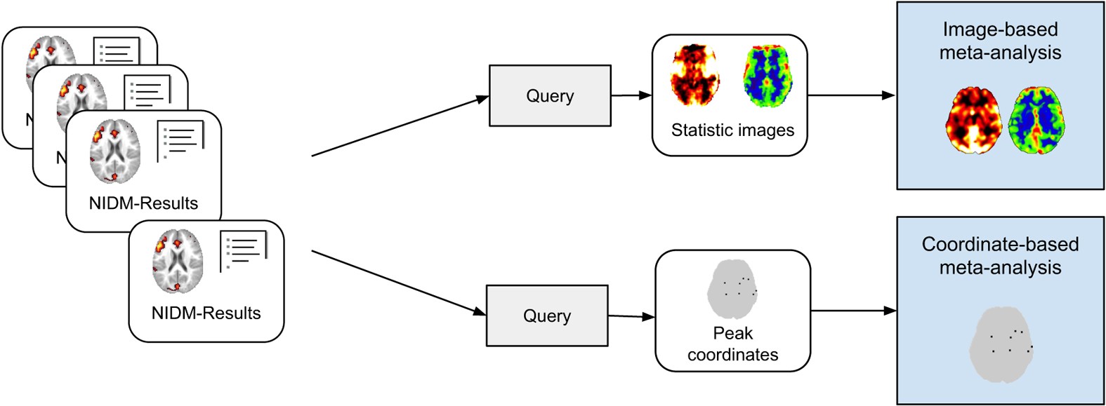Figure 4: Image-based and coordinate-based meta-analyses using NIDM-Results.