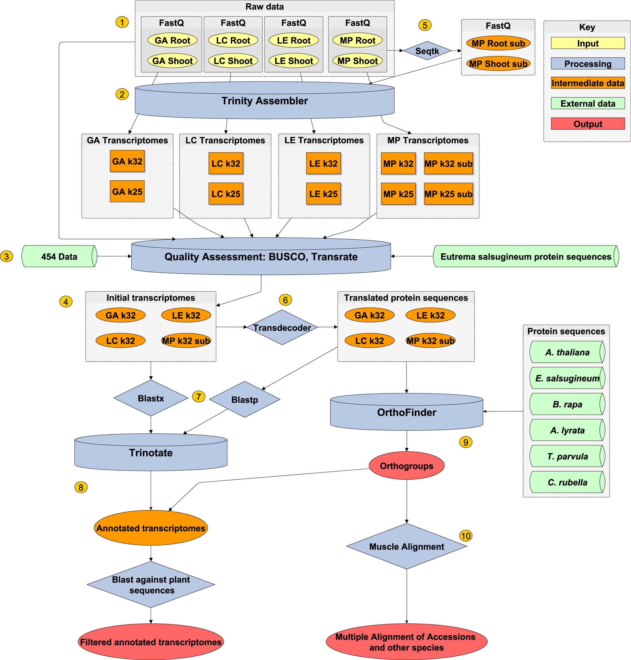Figure 1: Overview of data processing.