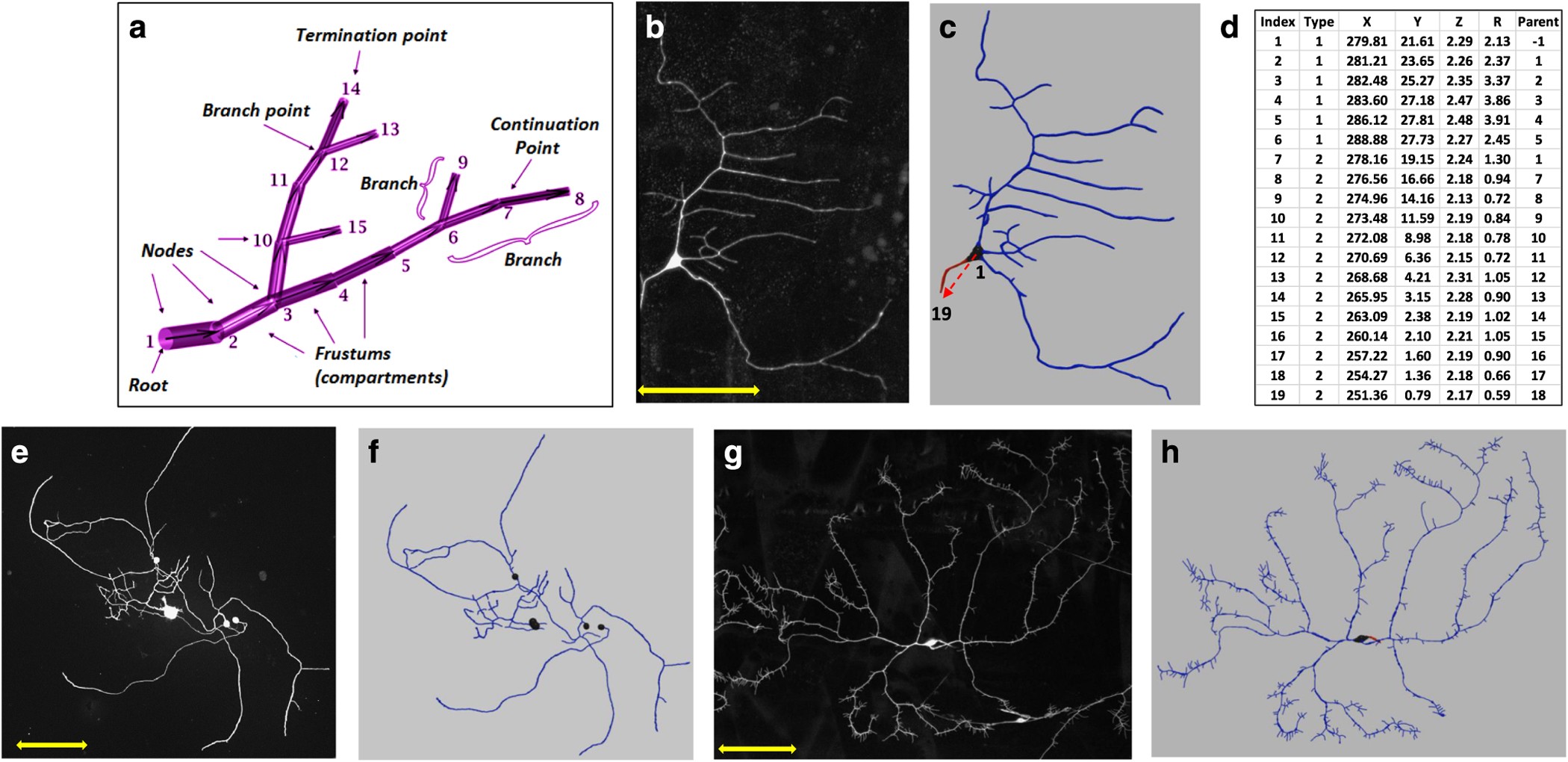 Design And Implementation Of Multi Signal And Time Varying Neural Reconstructions Scientific Data Design And Implementation Of Multi Signal And Time Varying Neural Reconstructions Scientific Data