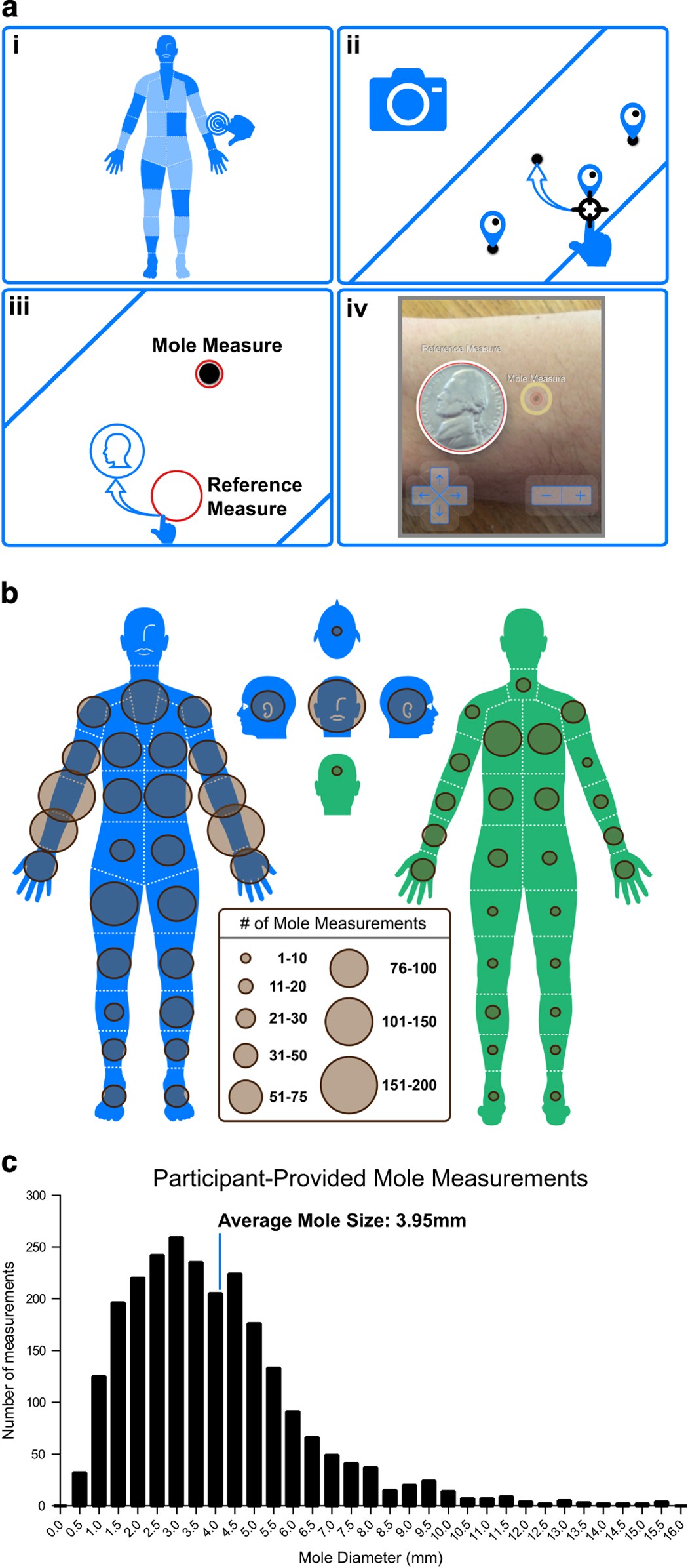 Figure 3: Participant-provided mole measurements.
